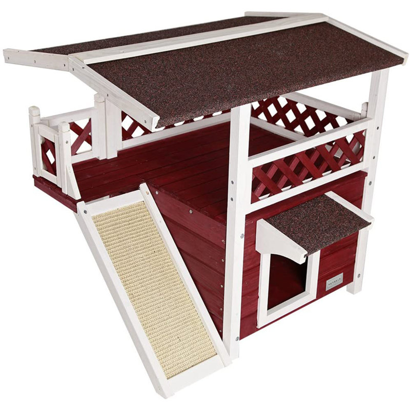 Petsfit Outdoor Indoor Cat House Wayfair